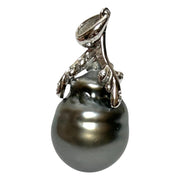 Baroque 11.3 x 14mm Tahitian Sea Peacock Gray Green Giant Pearl Pendant