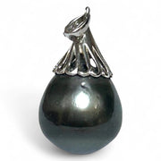 Graceful 12.8 x 14mm Peacock Gray Oval Tahitian Sea Pearl Pendant