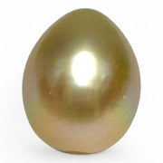 Teardrop 12,7 x 15.6mm 18.3 Carat Gold Philippines South Sea Pearl