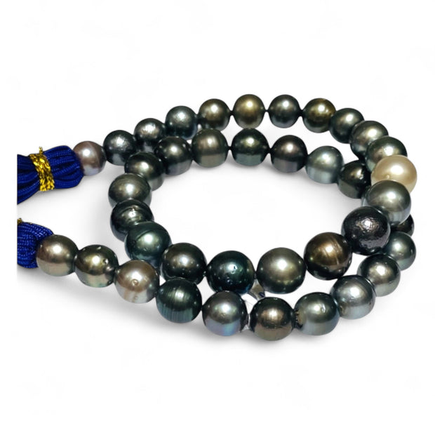Round 9 - 11mm 40 pcs Multicolors Tahitian South Sea Pearl 16" Strand