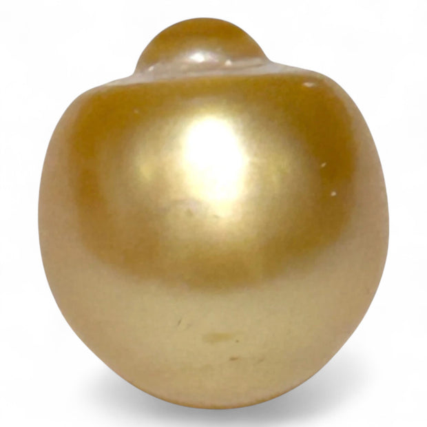 Giant 14.6 x 16mm 23.67 Carat Rich Golden Oval South Sea Loose Pearl