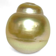 Grand 15.7 x 17.6mm 30 Carat Golden Philippines South Sea Pearl Loose