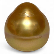 Large 14.9 x 16.1mm 24.4 Carat Deep Golden South Sea Pearl Loose