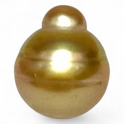 Grand 14.5 x 17mm, 23.3 Carats Deep Golden Philippines Sea Pearl Loose