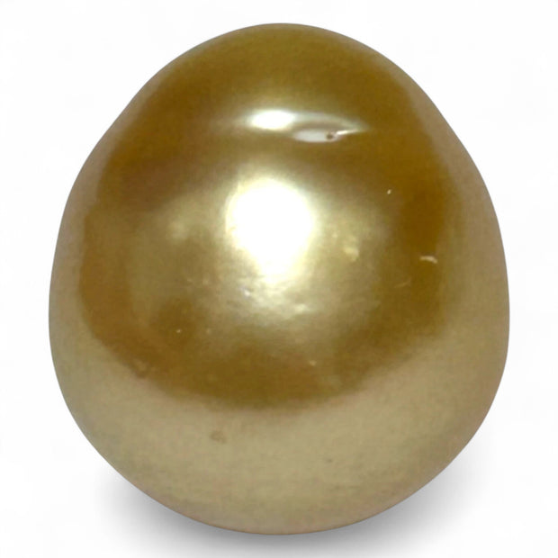 14.8 x 16.4mm 25.8 Carats Rich Gold South Sea Pearl Un-Drilled