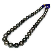 Round 11 - 12.8mm 36 pcs Tahitian Peacock Black Green Pearl 16" Strand