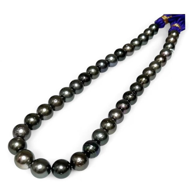 Round 11 - 12.8mm 36 pcs Tahitian Peacock Black Green Pearl 16" Strand