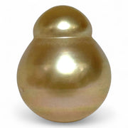 Giant 14.2 x 17.3mm 23 Carat Philippines South Sea Gold Cultured Pearl