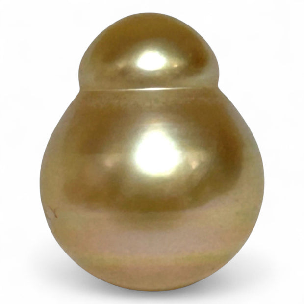 Giant 14.2 x 17.3mm 23 Carat Philippines South Sea Gold Cultured Pearl