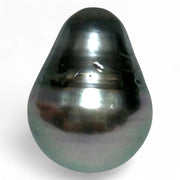 Stunning 12.1 x 15.9mm Teardrop Bottom Round Tahitian South Sea pearl