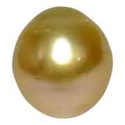 Giant 14.3 x 15.8mm 23.4ct Natural Deep Gold South Sea Pearl Loose