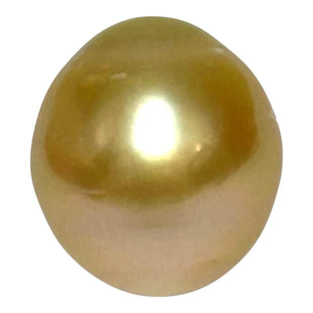 Giant 14.3 x 15.8mm 23.4ct Natural Deep Gold South Sea Pearl Loose