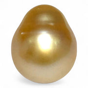 Gorgeous 14.3 x 17mm 23.3 Carats South Sea Pearl – Rich Gold Oval