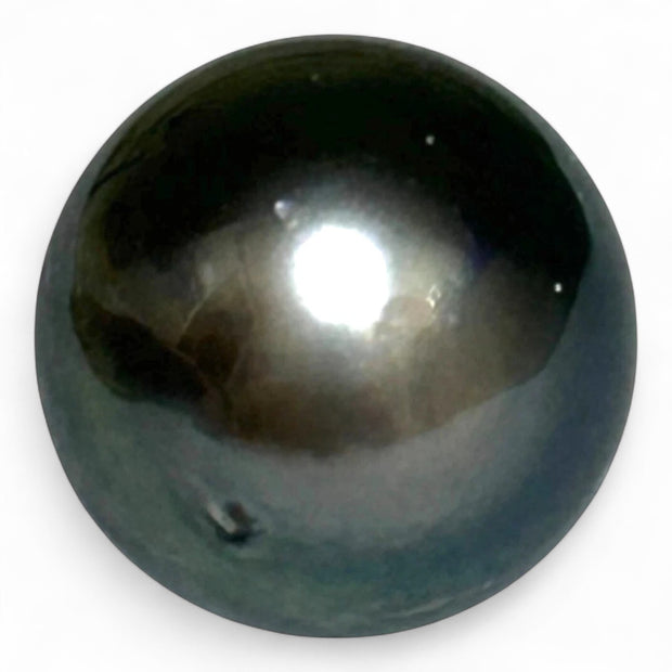 Massive Oval 21 Ct 13.3 x 15.4 mm Peacock Gray Tahitian Sea Pearl