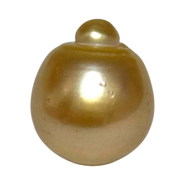 RARE Giant 16.3 x 19.1mm 33.7 Carats Deep Gold South Sea Pearl Loose