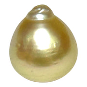 Teardrop 12.2 x 13.8mm 14.6 Carat Gold Philippines South Sea Pearl