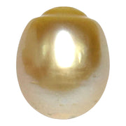 Giant 13.9 x 16.4mm 23.6 Carats Gold South Sea Pearl Loose