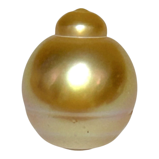 Giant 14.5 × 17.6mm 24.2ct Natural Deep Gold South Sea Pearl Loose