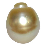 Giant 15.7 x 18.4mm Rich Gold Philippines South Sea Pearl Loose