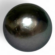 Massive Oval 21 Ct 13.3 x 15.4 mm Peacock Gray Tahitian Sea Pearl