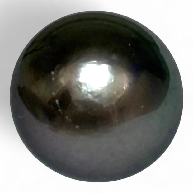 Massive Oval 21 Ct 13.3 x 15.4 mm Peacock Gray Tahitian Sea Pearl