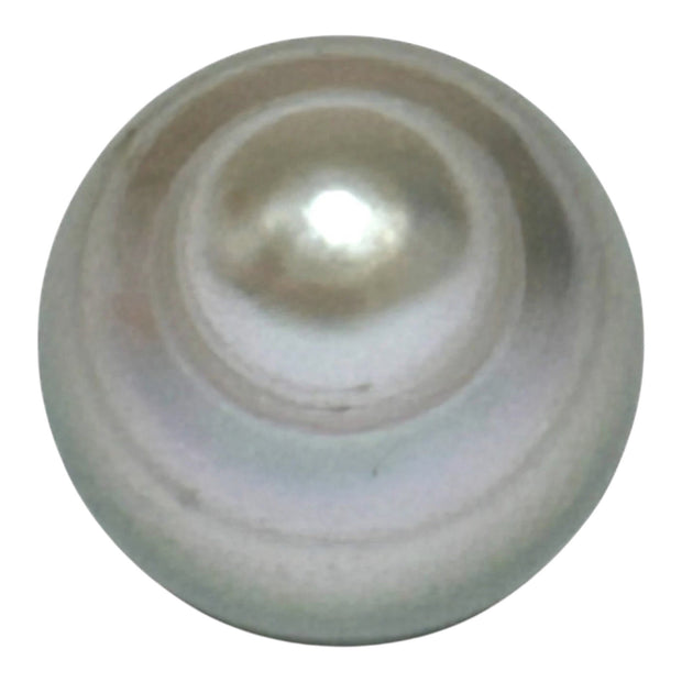 Glorious 14.6 Carat 12 x 15.7mm Tahitian Peacock Grey Green Drop Pearl