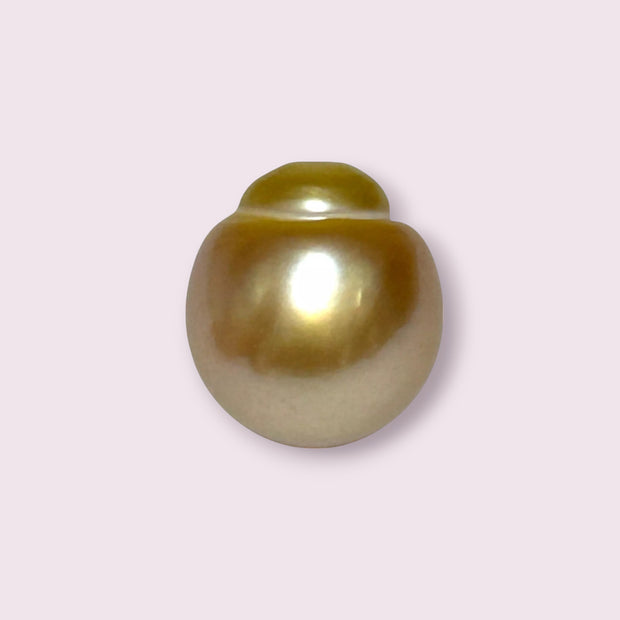 Giant 14.3 x 15.8mm 22.1 Carats Deep Golden South Sea Pearl Loose