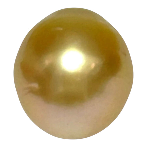 Giant 14.3 x 15.8mm 23.4ct Natural Deep Gold South Sea Pearl Loose