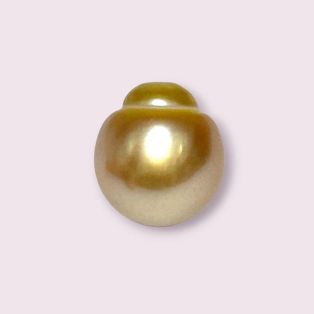 Giant 14.3 x 15.8mm 22.1 Carats Deep Golden South Sea Pearl Loose