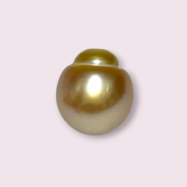 Giant 14.3 x 15.8mm 22.1 Carats Deep Golden South Sea Pearl Loose