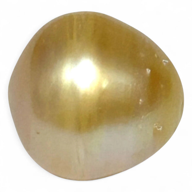 Oval Drop 16.1 x 16.4mm 29.2 Carats Rich Gold South Sea Pearl Loose