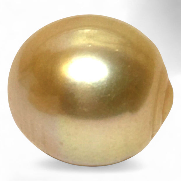 Giant 15.2 x 16.6mm 26.7 Carats Rich Golden South Sea Pearl Loose