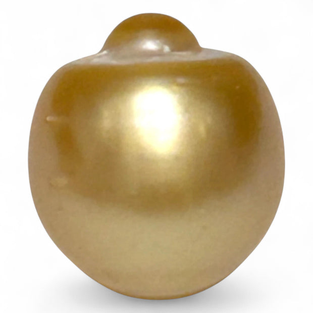 Giant 14.6 x 16mm 23.67 Carat Rich Golden Oval South Sea Loose Pearl