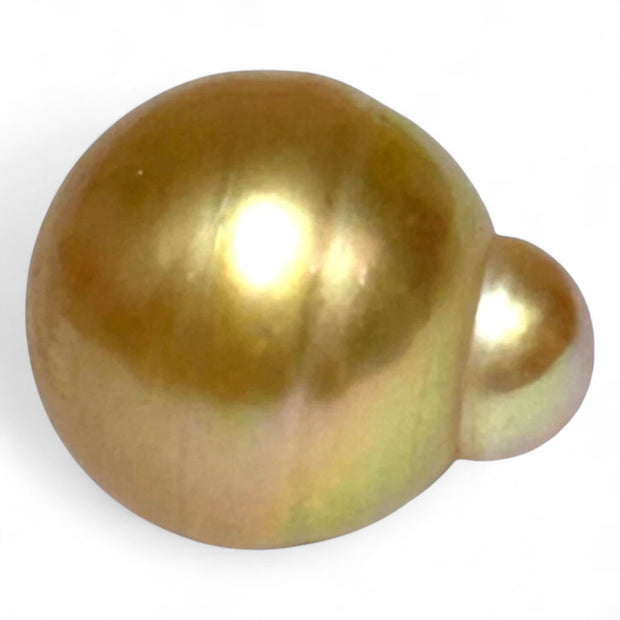 Grand 14.5 x 17mm, 23.3 Carats Deep Golden Philippines Sea Pearl Loose