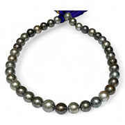 Round 10 - 12mm 38 pcs Multicolors Tahitian South Sea Pearl 16" Strand