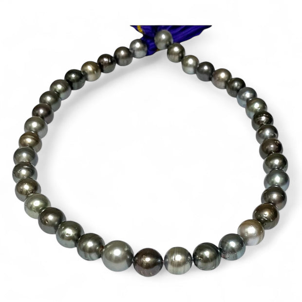 Round 10 - 12mm 38 pcs Multicolors Tahitian South Sea Pearl 16" Strand