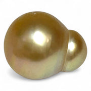Giant 14.2 x 17.3mm 23 Carat Philippines South Sea Gold Cultured Pearl