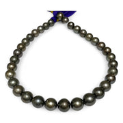 Round 11–13mm34 pcs Tahitian Peacock Gray Green Pearl 16" Strand