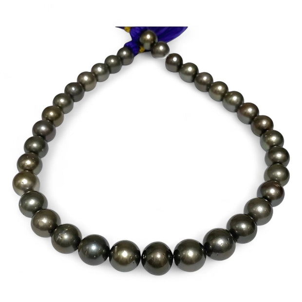Round 11–13mm34 pcs Tahitian Peacock Gray Green Pearl 16" Strand
