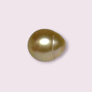 Giant Oval 14.5 x 16.8mm 24.6 Carats Deep Gold South Sea Pearl Loose