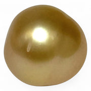 Oval Giant 19.8 Carats 13.9 x 14.2mm Deep Gold South Sea Loose Pearl