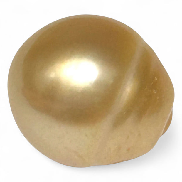 Giant Rich Golden 14.1 x 15.2mm 21.06 Carats South Sea Pearl Loose