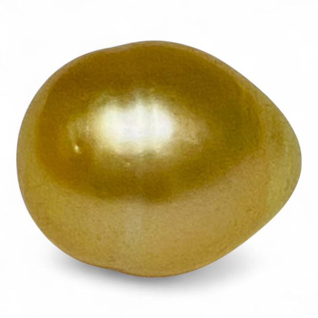 Huge 21.2 Carats Oval 13.7 x 16.6mm Rich Gold South Sea Loose Pearl