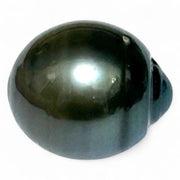 Oval 21.8 Carats 14 x 16.2mm Tahitian South Sea Peacock Black Pearl