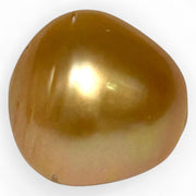 Enormous 14.9 x 15.2mm 23.5 Carat Deep Gold Philippines South Sea Pearl