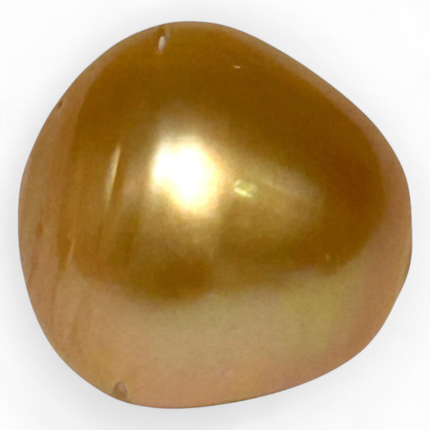 Enormous 14.9 x 15.2mm 23.5 Carat Deep Gold Philippines South Sea Pearl