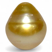 Magnificent Oval 14.6 x 16.8mm 23.2 Carats Golden Philippine Sea Pearl