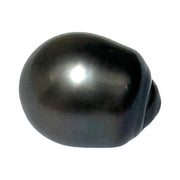 Giant 12.9 x 15.9mm 18.3 cts Tahitian Peacock Black-Green Pearl Loose