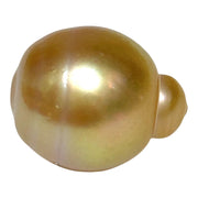 Giant 14.5 × 17.6mm 24.2ct Natural Deep Gold South Sea Pearl Loose