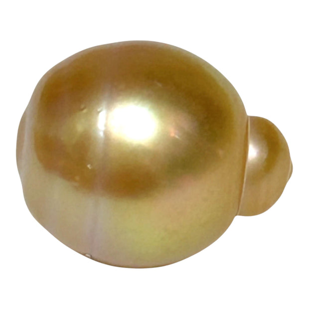 Giant 14.5 × 17.6mm 24.2ct Natural Deep Gold South Sea Pearl Loose